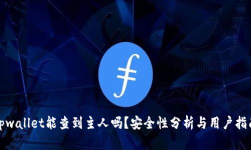 tpwallet能查到主人吗？安全性分析与用户指南